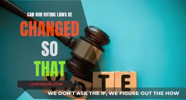 Voting Laws: Can We Change Them?