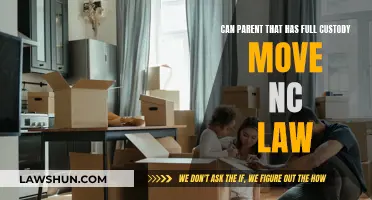 Custody Battle: Can a Parent Move with Full Custody?