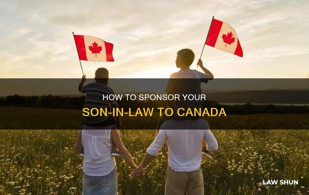 can parents sponsor a son in law canada