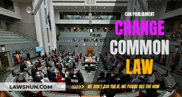 Parliament's Power: Changing Common Law