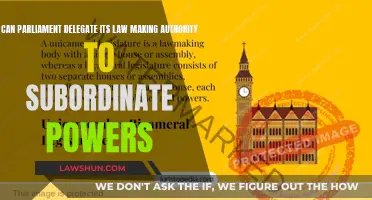 Parliament's Law-Making Authority: Delegating Power