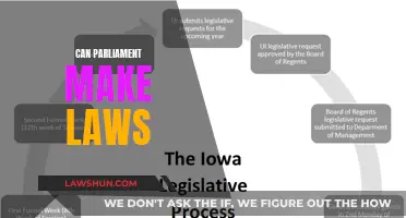 Parliament's Law-Making Power: Exploring Legislative Authority