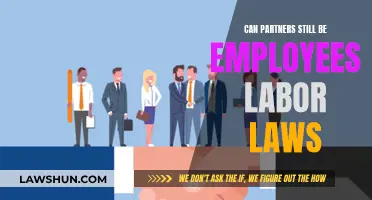 Partners and Employees: Labor Law Complexities Explored