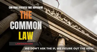 How Statutes Can Override Common Law