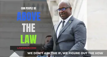 The Law and the Powerful: Who Wins?