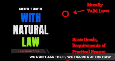 The Origin of Natural Law: Human Invention or Discovery?