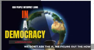 Interpreting Laws: Democracy's Challenge