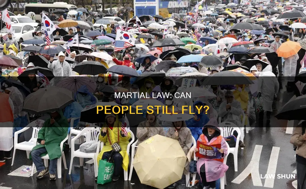 can people still fly if martial law is declared