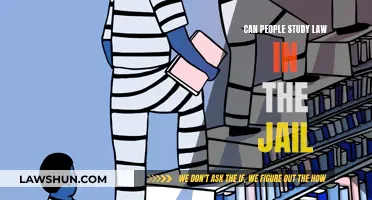Studying Law Behind Bars: Is It Possible?