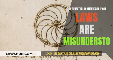 Misunderstood Laws: Perpetual Motion's Existence Explained