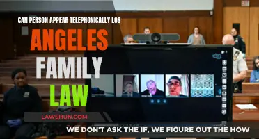 Telephonic Appearances in LA Family Law Courts