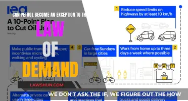 Petrol: Defying Demand Laws?