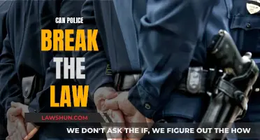 Police and the Law: Who Watches the Watchmen?