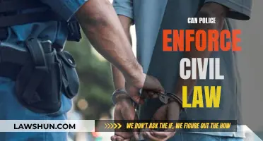 Civil Law and Police: What's the Enforcement Scope?