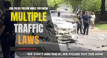 Traffic Laws and Police: When Do They Pursue?