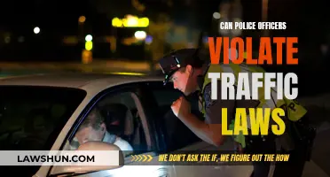 Traffic Laws and Police: Above or Beyond Them?