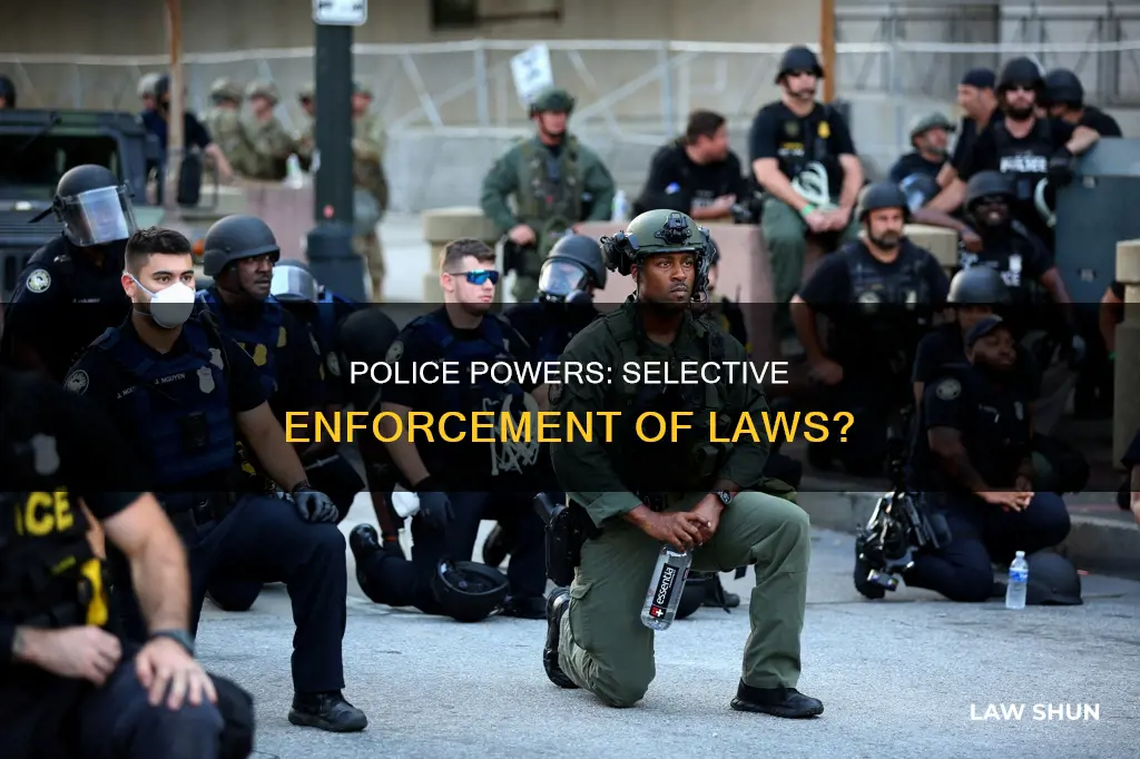 can police select wich laws to enforce