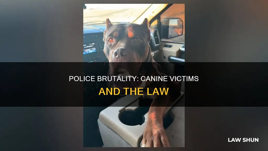 can police stop killing dogs police the law enforcement magazine