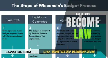 How Policies Transform into Laws