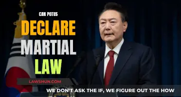 Martial Law: Can POTUS Take This Step?