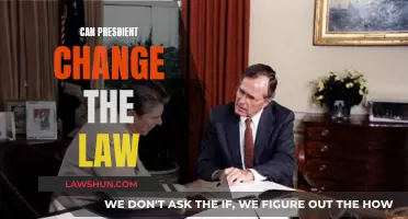Executive Power: Can the President Change Laws?