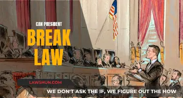 The President and Legal Boundaries: Can They Break Laws?