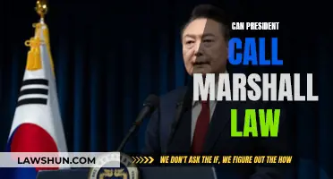 Presidential Power: Can They Declare Martial Law?