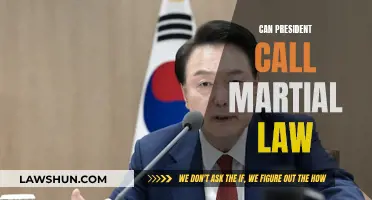 Martial Law: Can the President Take This Step?