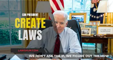 The President's Lawmaking Power: Can They Create Laws?