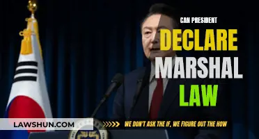 Martial Law: Can the President Declare It?
