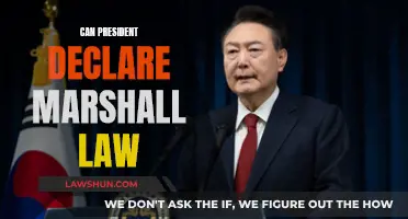 President's Power: Declaring Martial Law Explained