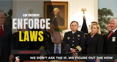 Who Enforces the Law? Presidential Powers Examined