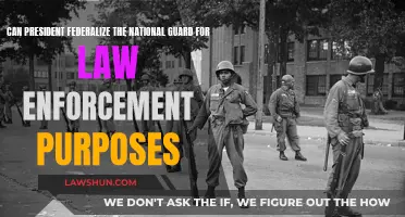 President's Power: Federalizing National Guard for Law Enforcement
