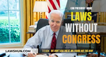 The President's Legislative Power: Can He Make Laws Alone?