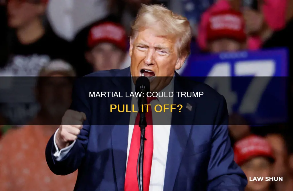 can president trump impose martial law