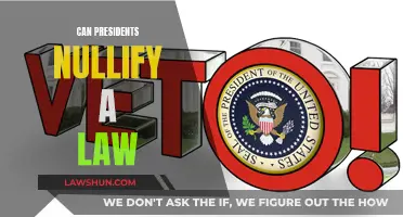 The President's Power: Can They Nullify Laws?