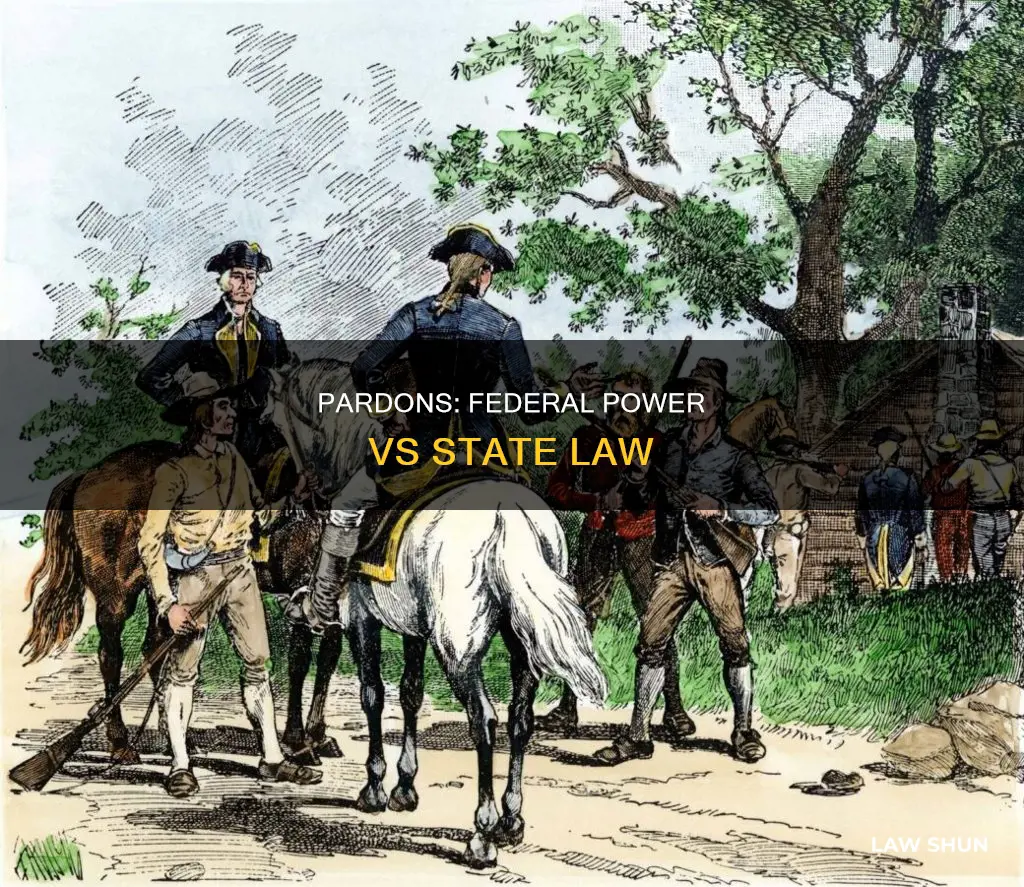 can presidents pardon state law