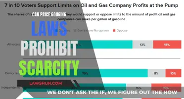 Price Gouging Laws: Scarcity's Solution or Hindrance?