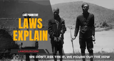 Primitive Laws: Explaining the Past and Present