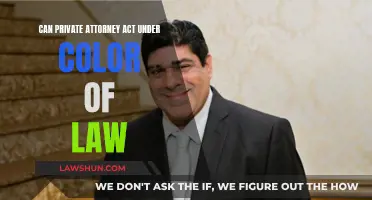 Private Attorney Authority: Color of Law Explained