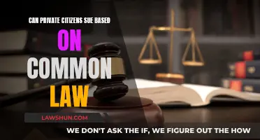 Common Law: Private Citizen Suits Explained