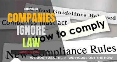 Private Companies: Bound by Law or Free to Ignore?