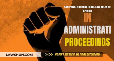 International Law Rules: Administrative Proceedings Applicability