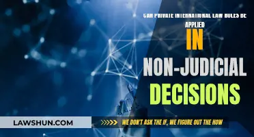 International Law Rules: Beyond Judicial Decisions?