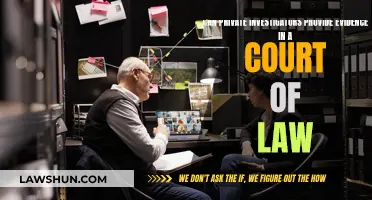 Private Investigators: Evidence in Court