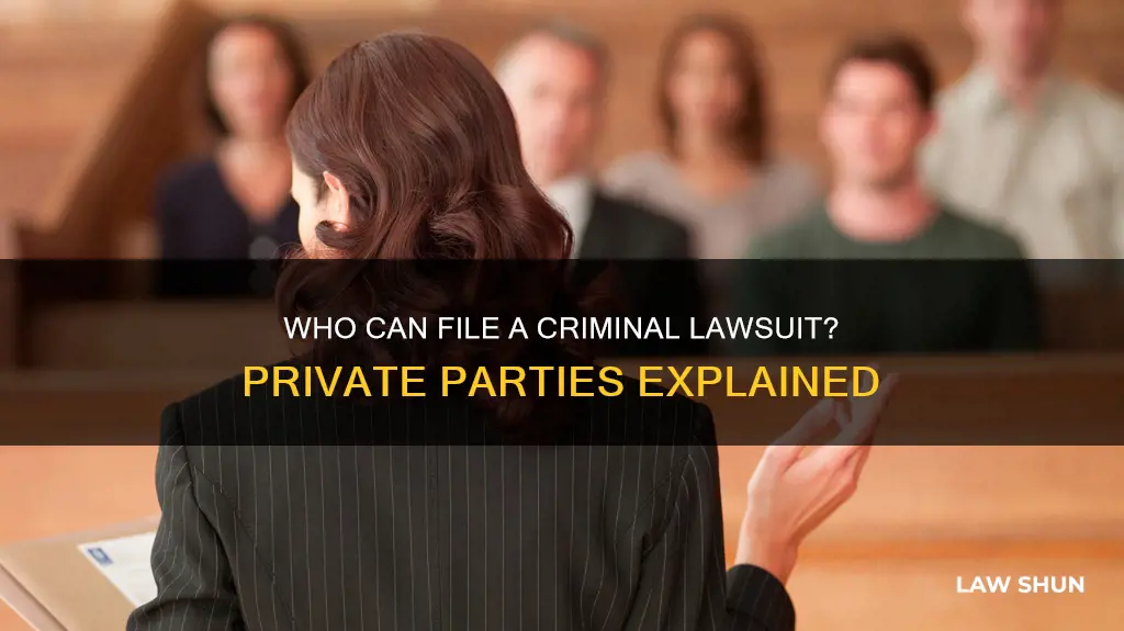 can private party file a criminal law suit