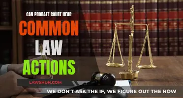 Probate Court and Common Law: What's the Jurisdiction?