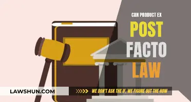 Product Ex Post Facto Law: Is It Possible?