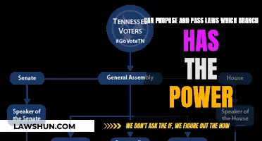 The Power to Propose and Pass Laws