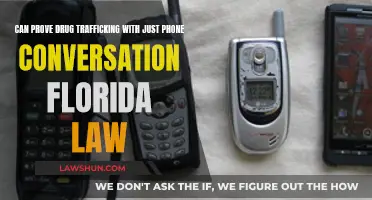 Phone Conversations: Enough to Convict in Florida Drug Cases